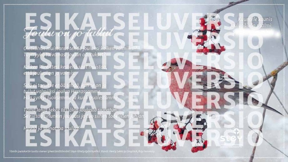 Joulukortti2023esikatselu