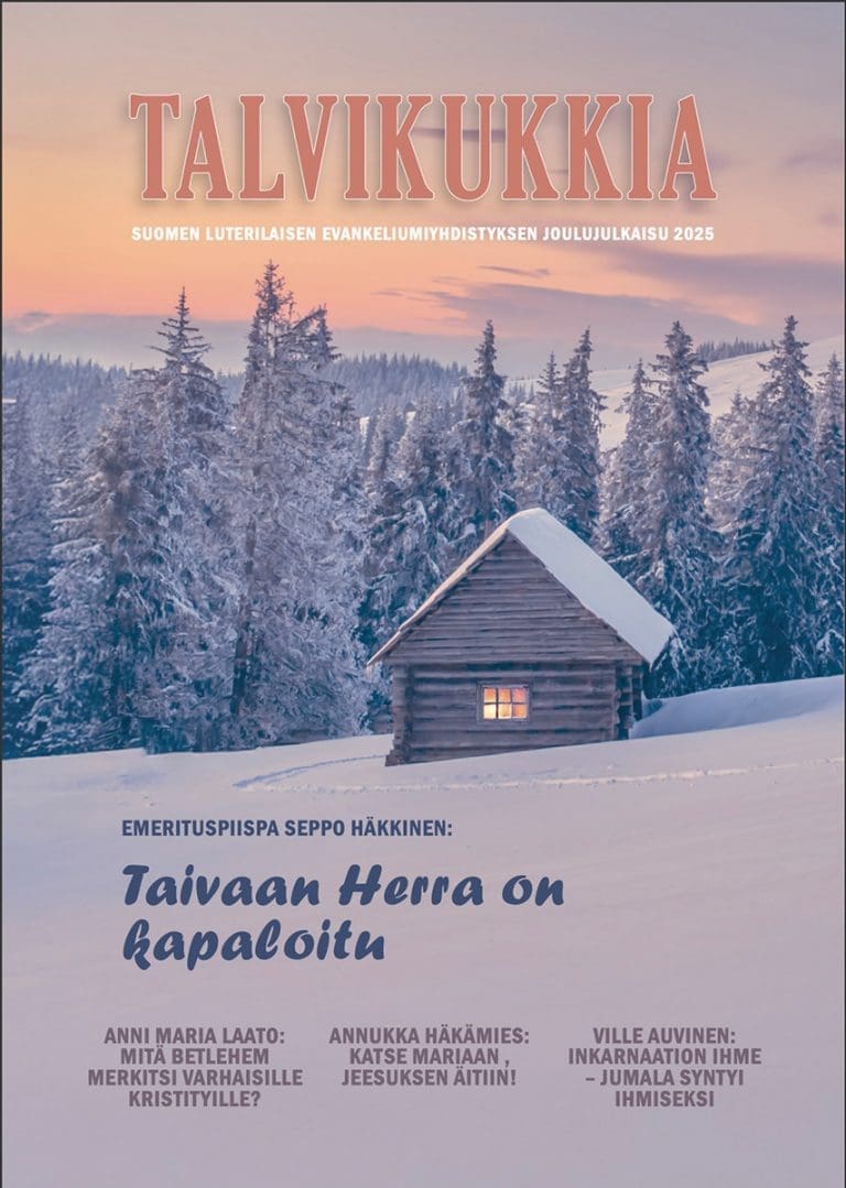 Kuvassa Sley-Median Talvikukkia-lehden kansi.